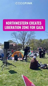 DISCLOSE! DIVEST! PROTECT! Today, CODEPINK Chicago joined students & faculty at Northwestern University’s Liberation Zone to demand financial disclosure, divestment from war & genocide, protection for students, and an end to all partnerships which legitimize occupation & genocide. Students are asking for supporters to show up TONIGHT at Deering Lawn at 8PM | CODEPINK: Women For Peace