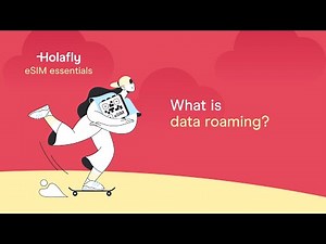 What is data roaming?