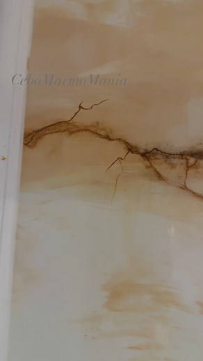 KSH Construct Cebos Cluj Cebos Color România Calin Tulus | Calin Tulus