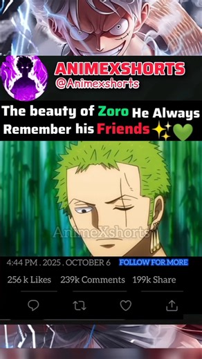 #onepiece #zoro #luffy #animeedit #animeshorts