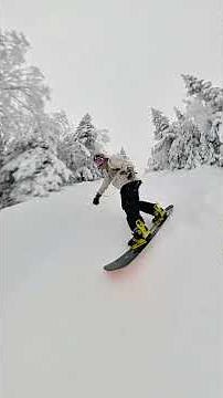 Tryin some editing techniques on pc... #gopro #gopromax2 #trending #foryou #snow #gopromax