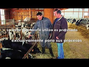 PROCESO: CHOCOLATES NESTLÉ