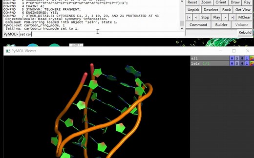 pymol中如何利用命令快速改变DNA的模型和颜色