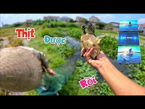 Nhấc Thử Chiếc Rọ Để Quên 3 Ngày Ở Thùng Bỏ Hoang - Bất Ngờ Được Baba To / Quế Nghịch