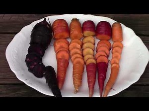 Ranking 6 Different Carrots By Taste and Overall Performance