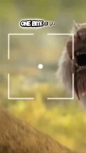 Smilodon: The Predator That Ruled Prehistoric Hell 🔥🔥🔥🔥🔥🔥🔥🔥🔥