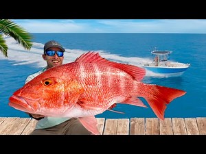 The Truth About Florida's Endangered Fishery (Catch Clean & Cook Red Snapper)