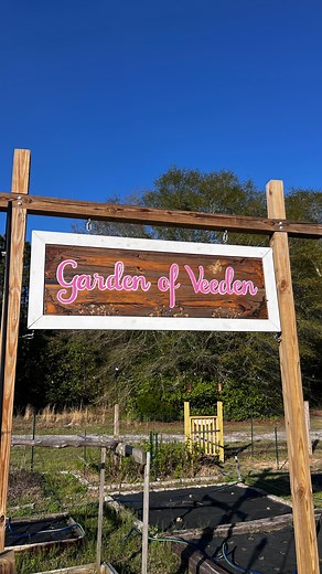 27K views · 4.2K reactions | Growing your own food is the best way to take back the food system. Monoculture farming had the best intentions, but they took a good idea too far and now it’s endangering the biodiversity that’s best for us as a whole. A homestead garden can reclaim that biodiversity for the future. | Greenhorn Grove | Facebook