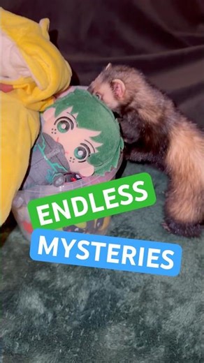 FREAKONOMICS (Mere Economic Curiosity)