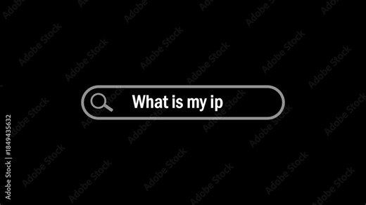 What is my ip address typing on internet web digital page search bar.