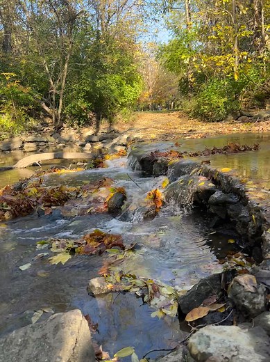 1.4K views | Sycamore Creek Park | Visit Fairfield County Ohio | Facebook