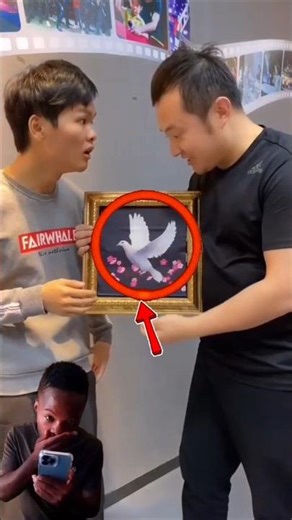 How to Make a Dove Appear (Magic Trick Tutorial) #shorts #magictrickstutorial #tutorial