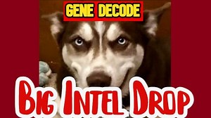 Gene deCode DROP BOMBS 9.8.25 - Everyone Needs to Pay Attention to This