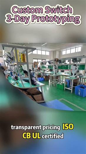 Custom switch lead time too long? We deliver samples in 3 days!