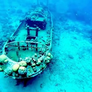 6.3K views · 250 reactions | Tugboat beach dive site ➡ Easy shore access, crystal clear waters and a magical shipwreck  #Curacao #FeelItForYourself  @flavi.on.tour | Curaçao | Facebook