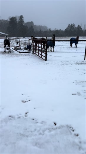 Barkley Tweedel (@btweedel1968)’s videos with Power Up - Super Sound