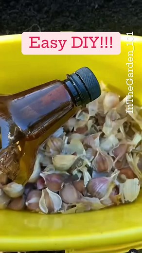 DIY Garden Shed: Simple & Effective Tips