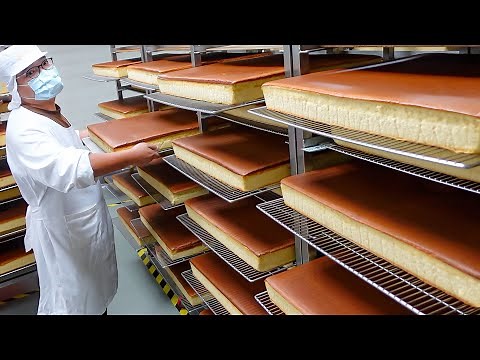 Cake Kingdom! Nagasaki Castella Honey Cake Making / 日式長崎蜂蜜蛋糕製作 - Taiwanese food factory