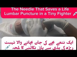 Lumbar Puncture in infant|CSF Collection Step by Step|Real Pediatric Procedure