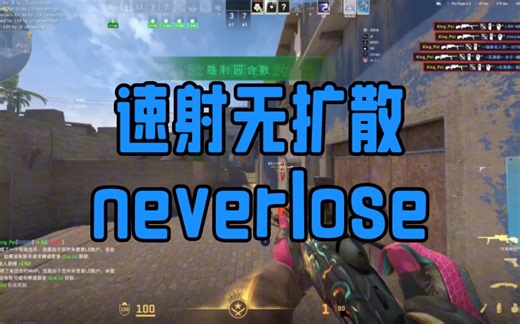 (补档)无扩速射时期的hvh.neverlose