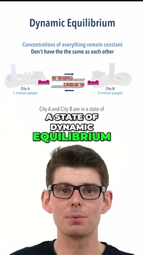 What Does Dynamic Equilibrium Really Mean? 🚆