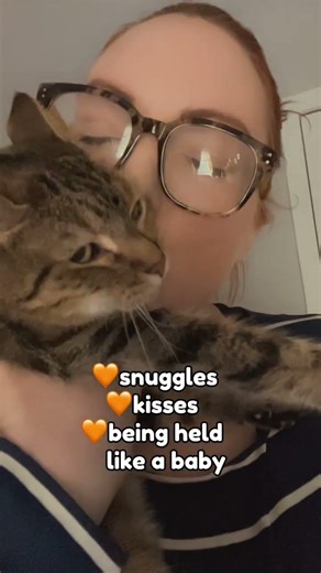 Collecting rent from my cats