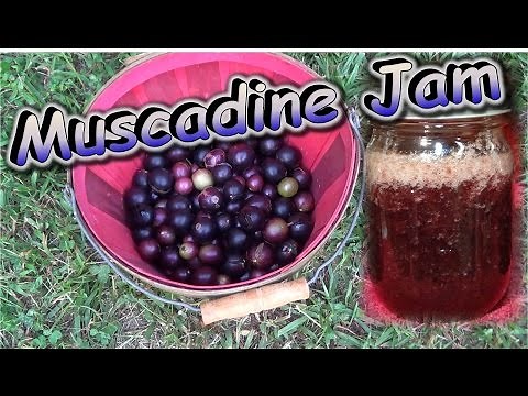 Muscadine Jam