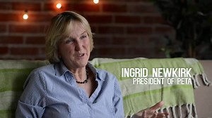 47K views · 3.3K reactions | "Discrimination is discrimination,...