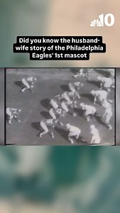 3.9K views · 308 reactions | NBC10’s @keithjonesnbc10 speaks with Tim Hulton and Sharon Hulton about the history the family wearing the first #Eagles mascot costume. Sharon was even the first woman under the bird mask when she took off for her husband, Jim, after he was drafted by the Army. | NBC10 Philadelphia | Facebook