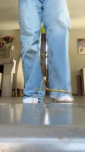 1.1M views · 10K reactions | 헜헡헦험헖헧헢 헣헔헟헢: Los fásmidos (Phasmida o...