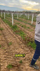 Instead of pulling wire by hand, this tool multiplies force through a simple winding mechanism. | Lara Amélia