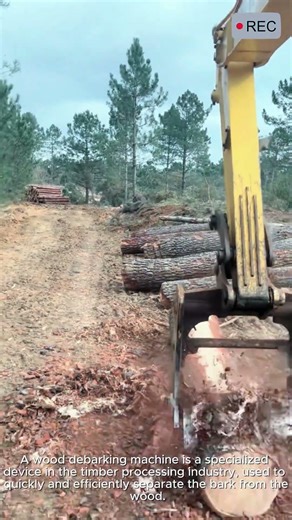 Wood Debarking Machine | Fast & Efficient #video #viral #creative #technology #machine