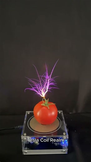 ⚡ The Power of the Tesla Coil #teslacoil #short #viral #experiment