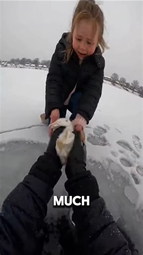 She Banged on My Door Crying… ‘My Rabbit Dying!'