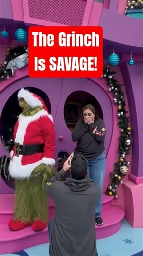 Merry Grinchmas You Filthy Animals. BEST of Universal Studios Grinch 🎄