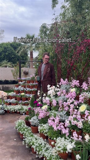 Soft pastels ☺️💕✨