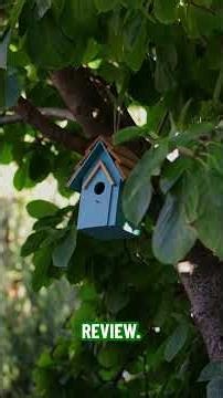 Unmasking AI's Vision