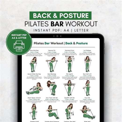 Pilates Bar Back & Posture Workout | Pilates Bar Exercise Chart | Home Pilates Bar Poster PDF | Upper Back and Posture Gym Workout Wall Art - Etsy Canada