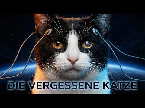 Félicette – Die einzige Katze im All… und warum ihr Ende so grausam war