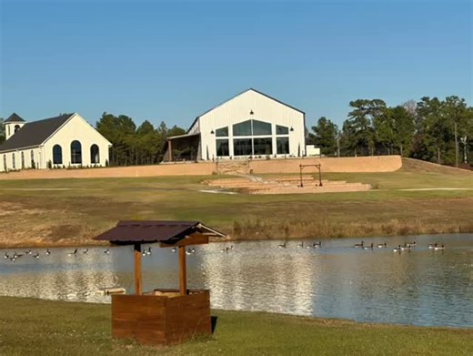 78 reactions | The geese are “geesin’” today at Ivey Acres! They made a grand appearance during last weeks ceremony, right as the bride walked down the aisle to the outdoor ceremony space. Perfect timing! Book your tour today at www.iveyacresevents.com. | Ivey Acres | Facebook