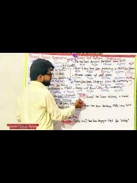 Present Perfect Progressive & Entry Test MCQs Online #mehranuniversity #sindhuniversity #shorts