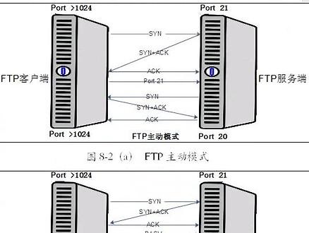 Linux必备ftp工作原理，深入剖析#编程 #linux #开学来电 #电脑