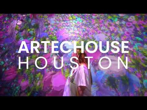 BEST IMMERSIVE IN HOUSTON