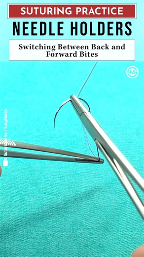 Suturing practice with needle holder. Switching between back and forward bites. Mastering these fundamental concepts and techniques is essential for the surgical trainee and, with consistent practice, they will become second nature. #surgicalskills #surgeon #training #surgmedia #medicina | SurgMedia