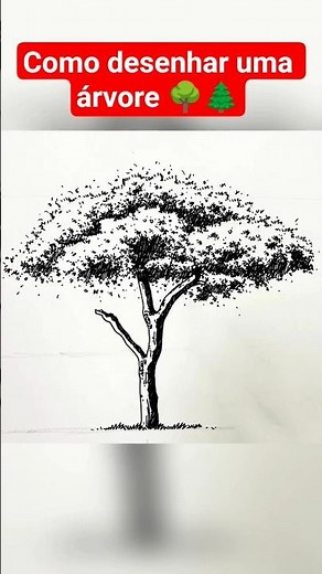 TUTORIAL DE COMO DESENHAR UMA ÁRVORE