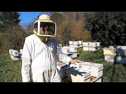Overwintering Nucs on a Double Screen Board