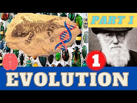 The Evolution of Insects: Introduction / Ordovician to Triassic - Bug School 🐞 Entomology Course