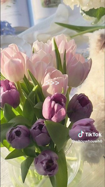 Favorite Flowers: Tulips vs. Roses | Types, Meanings, and More
