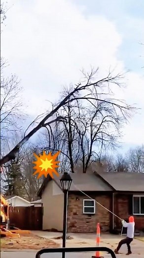 Lumberjacks: The Most Extreme Jobs on Earth