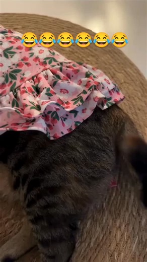 ⚡Eléctrico SEC⚡ on Instagram: "#electricocertificado #electricista #electrico #electricistas"